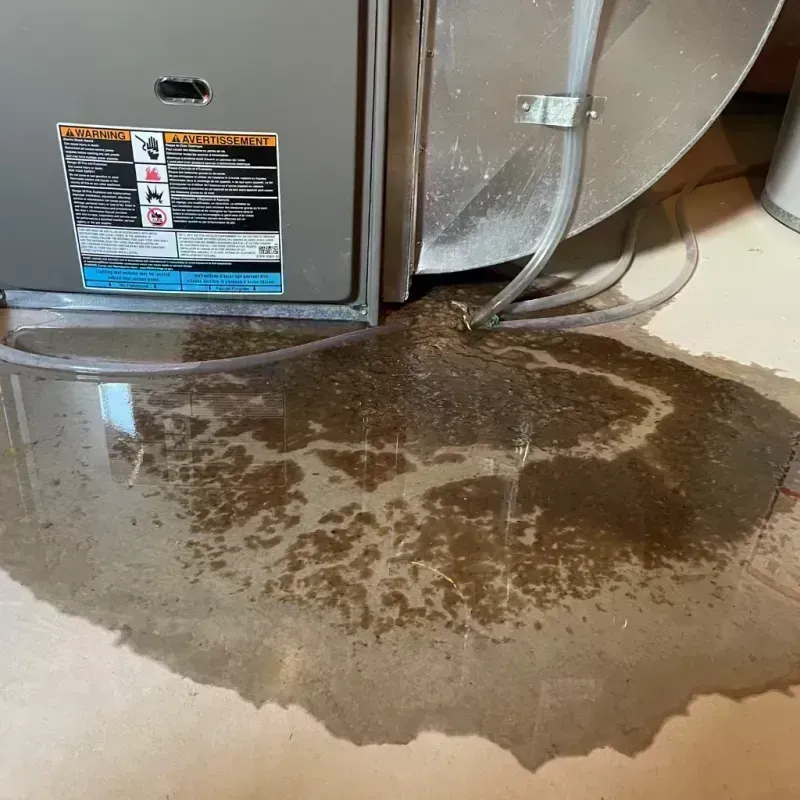 Appliance Leak Cleanup in Iona, FL